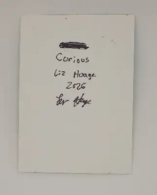 Curious aceo art card thumbnail 2