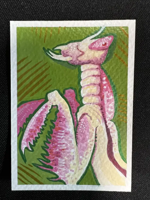 Rearing Mantis aceo art card