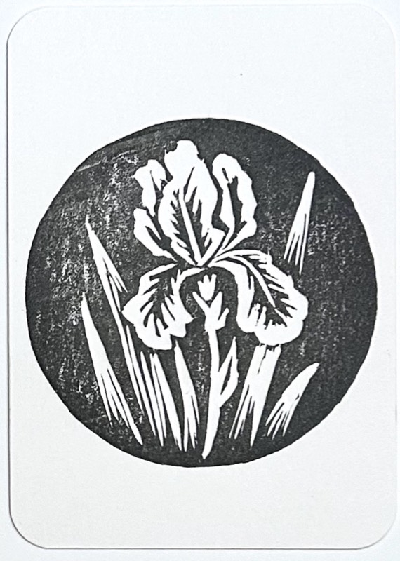 Iris 1 aceo art card