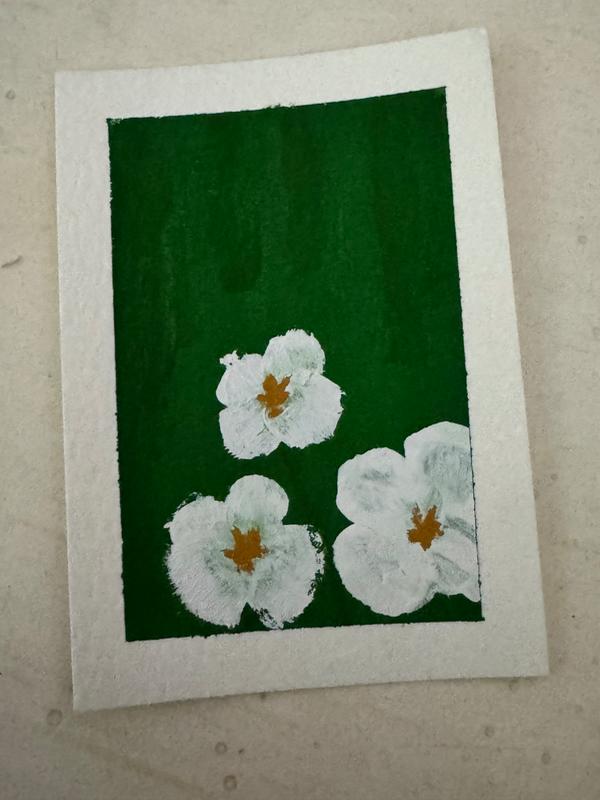 Flowering Dogwood aceo art card