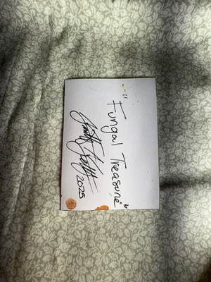 Fungal Treasure aceo art card thumbnail 2