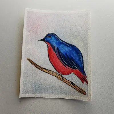 Red belly aceo art card thumbnail 1