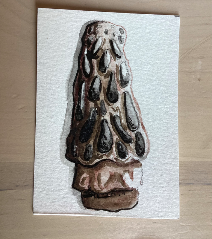 Tiny little mushroom! aceo art card