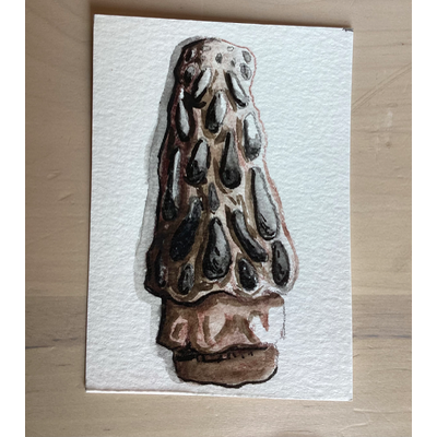 Tiny little mushroom! aceo art card thumbnail 1