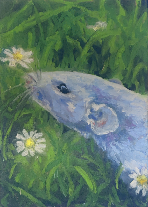 Rat aceo art card