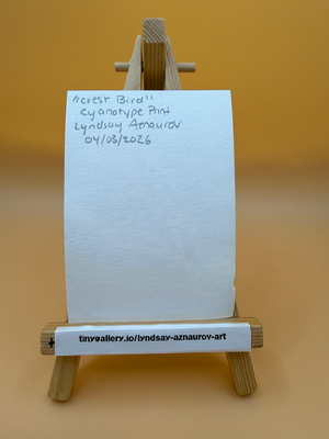 Crest Bird Cyanotype print by Lyndsay Aznaurov aceo art card thumbnail 2