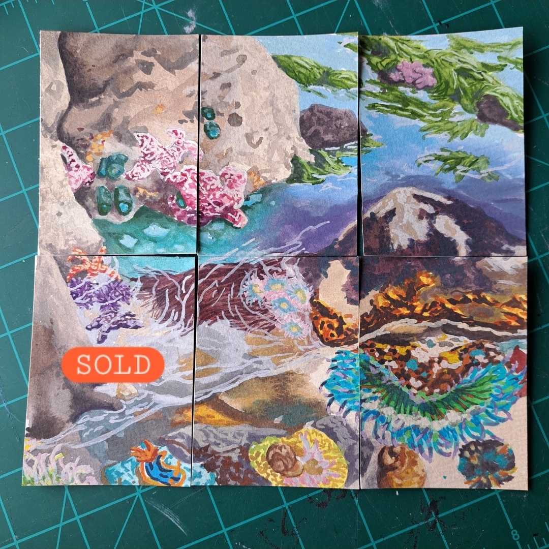 Tide Pool Polyptych 1/6 aceo art card thumbnail 2