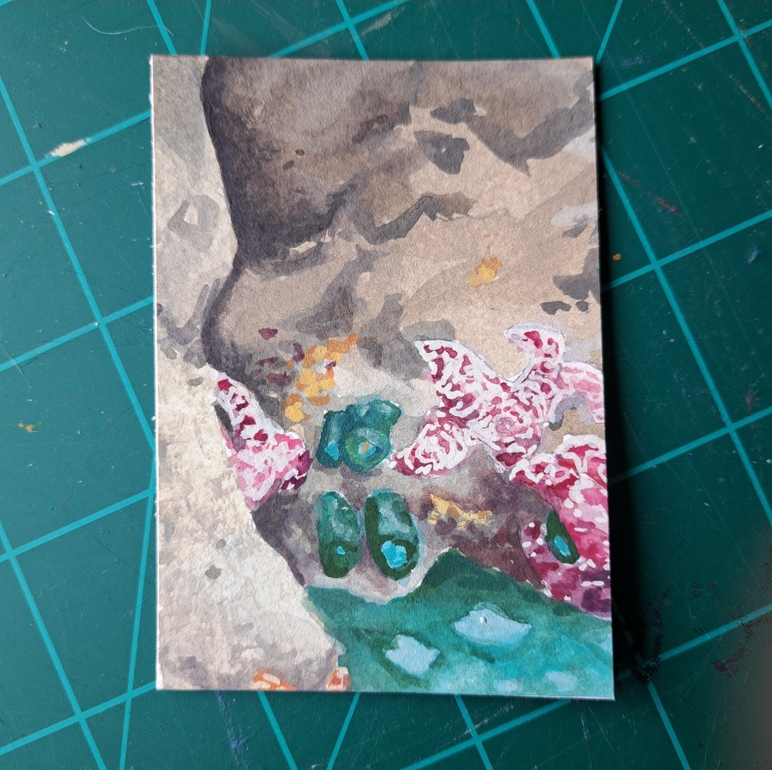 Tide Pool Polyptych 1/6 aceo art card