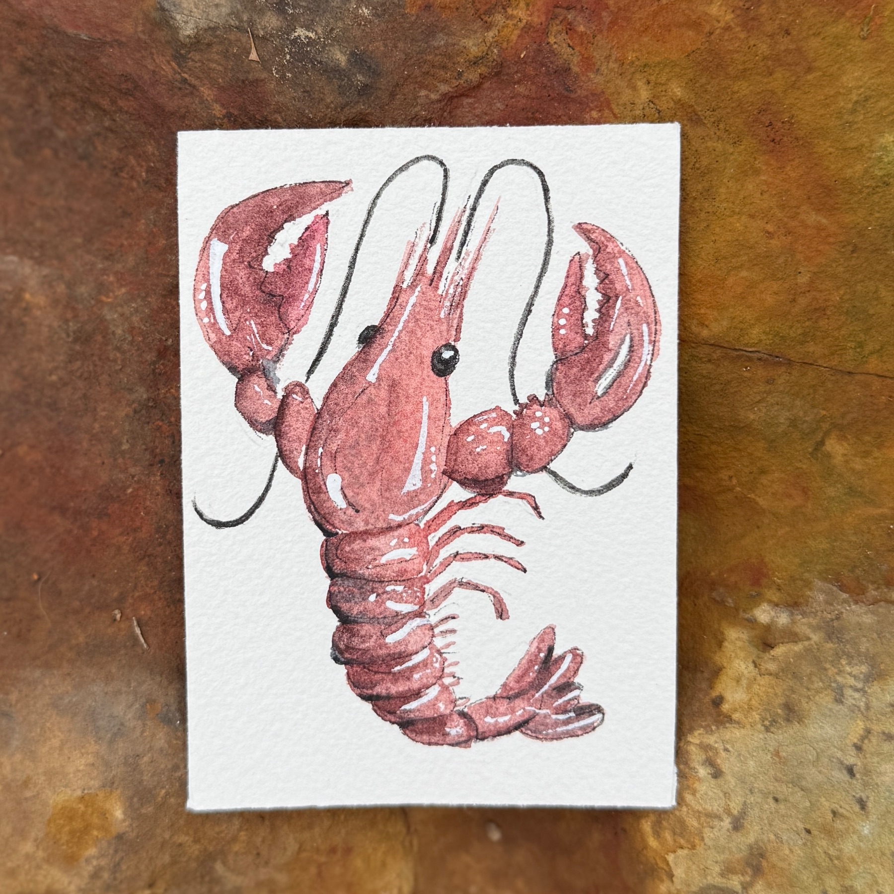 Crawfish #1 aceo art card