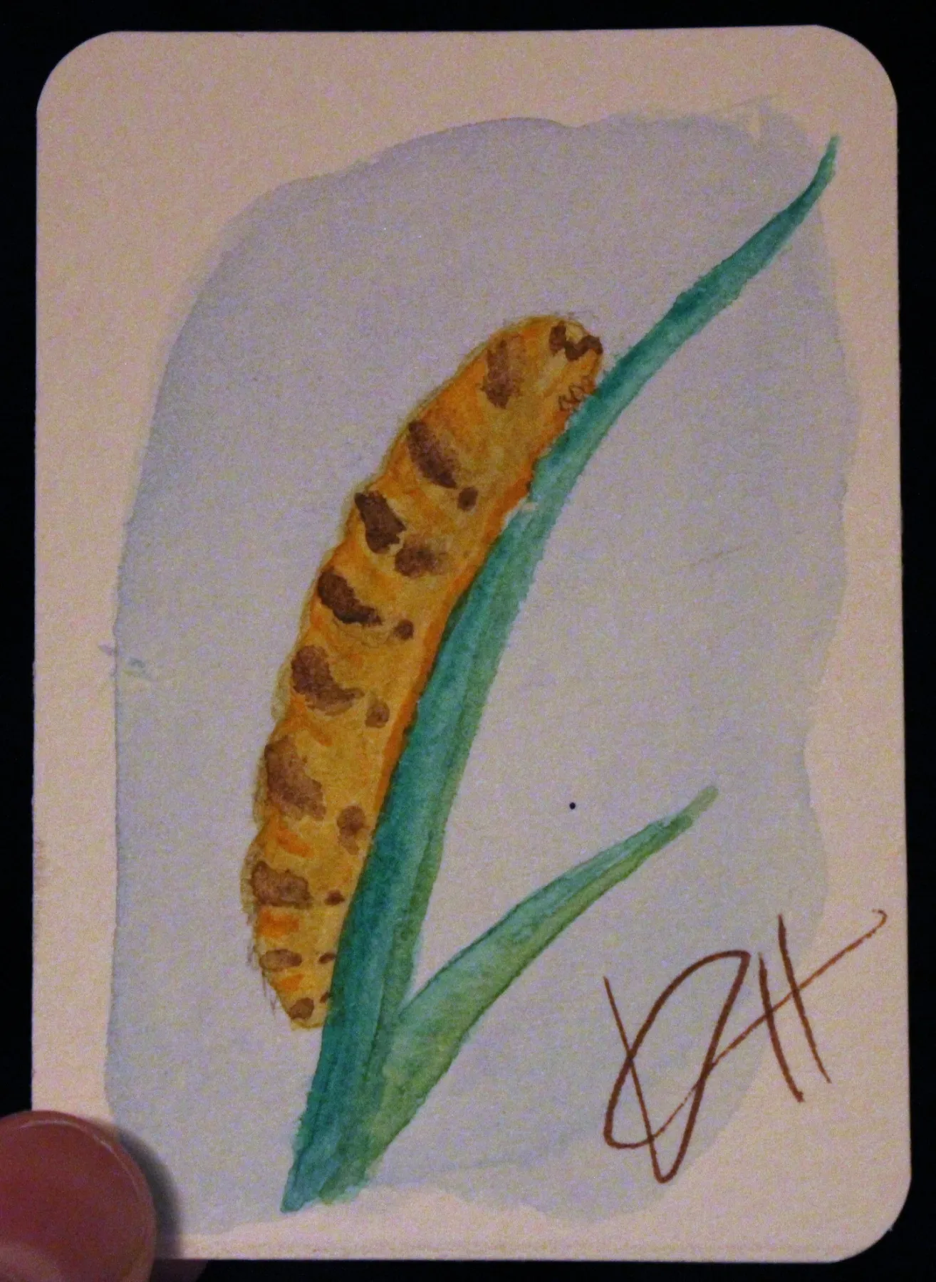 High Climber aceo art card