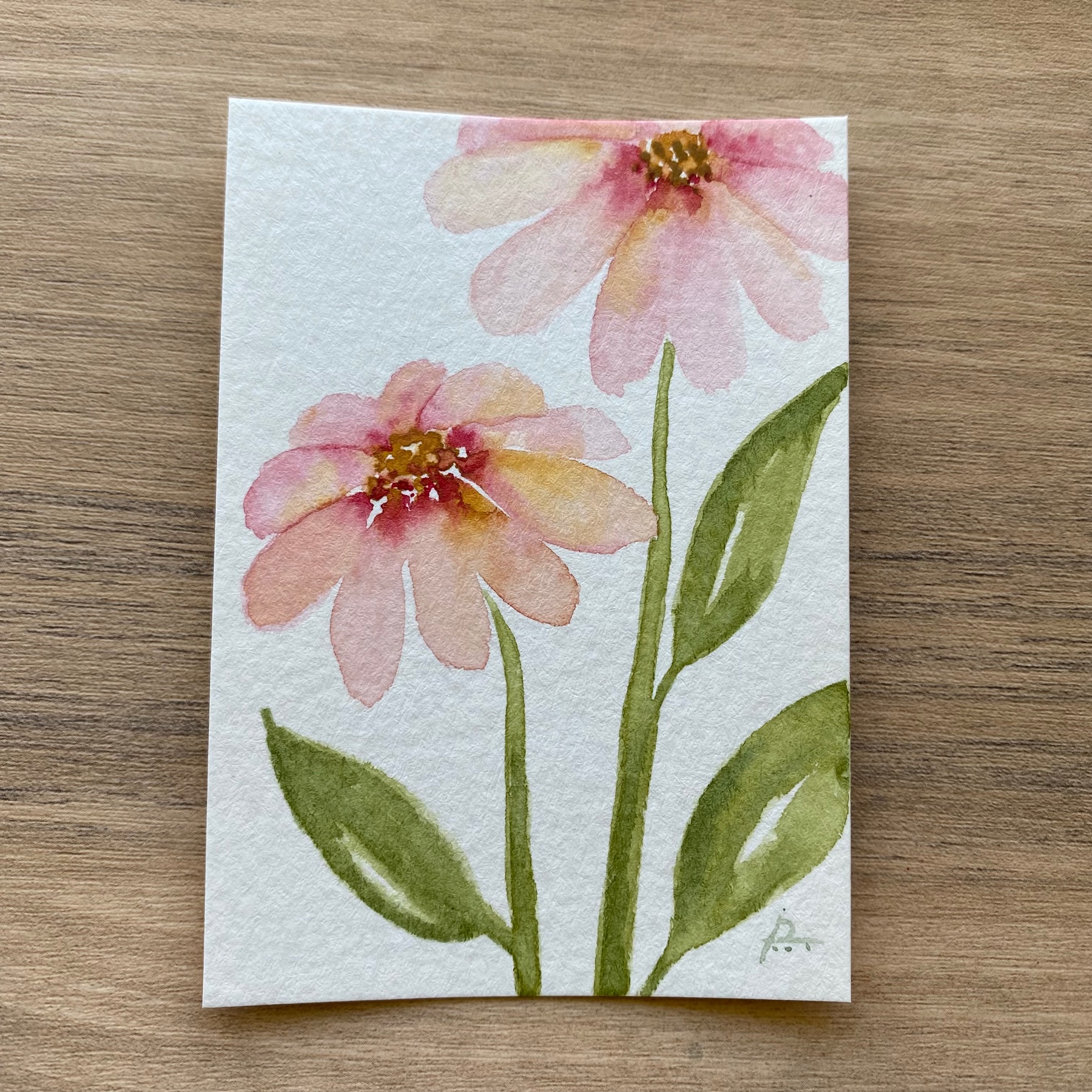 Pink Coneflowers aceo art card