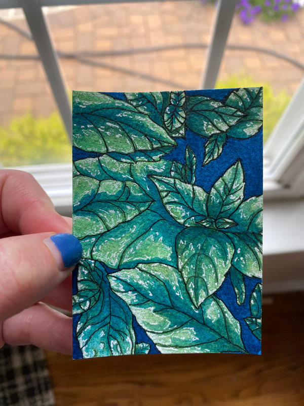 Night Basil aceo art card