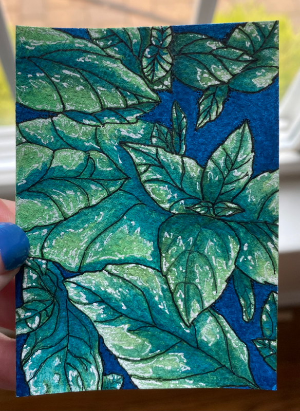 Night Basil aceo art card