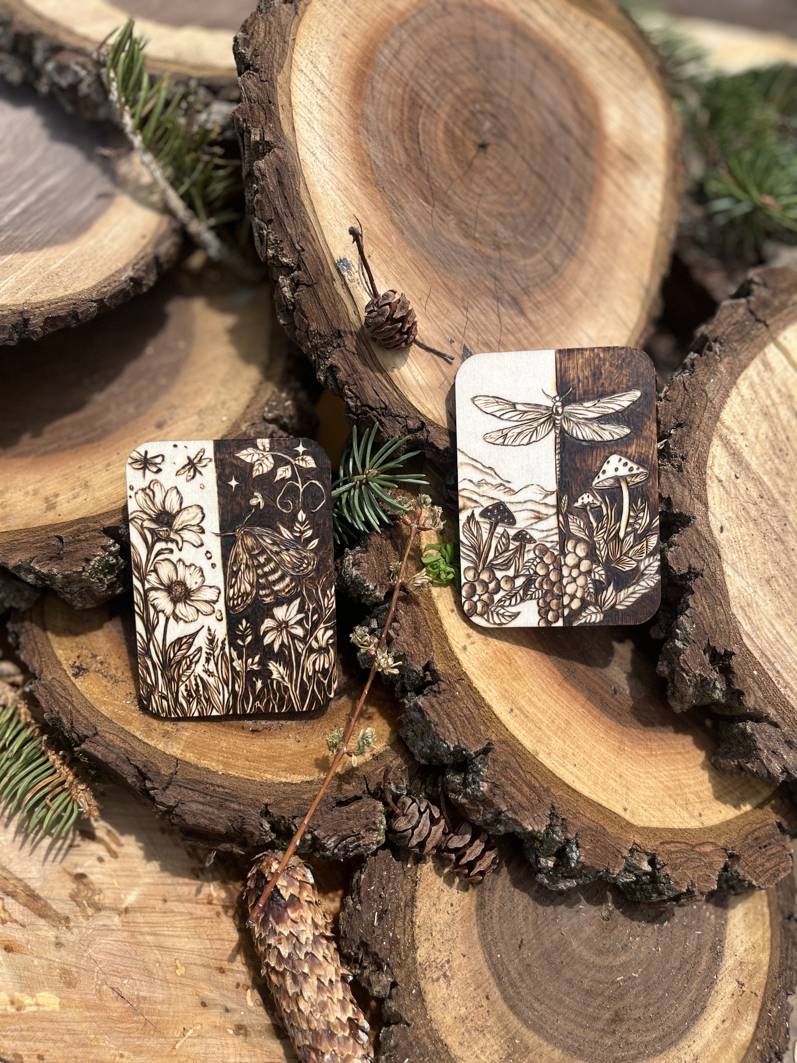 Ra•Ra - HeartWood Collection: Dragonfly & Moth Meadow – ACEO Set of 2 aceo art card
