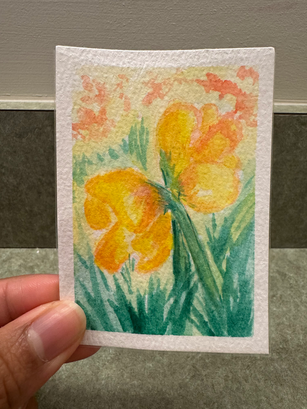 Daffodils aceo art card