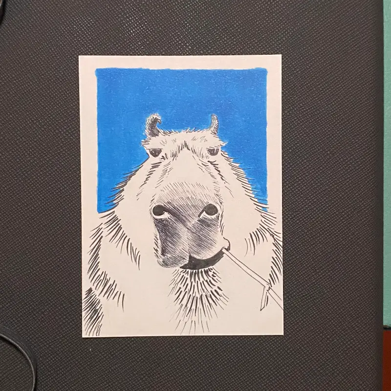 Capy Face aceo art card