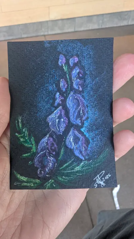 Acontium napellus aceo art card