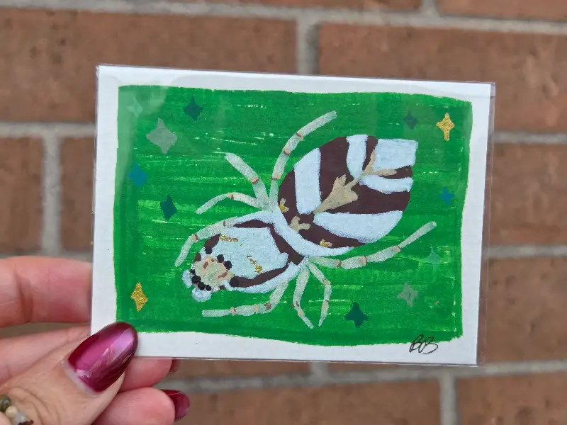 Zebra Jumping Spider aceo art card