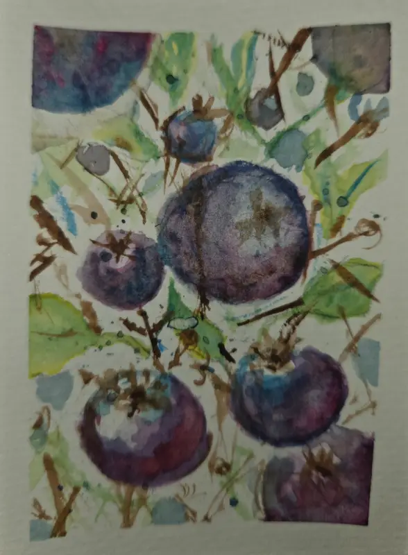 Looking into the blueberry bush aceo art card