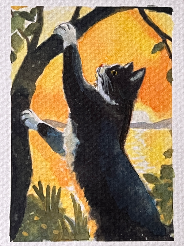 Scratching Post Cat aceo art card