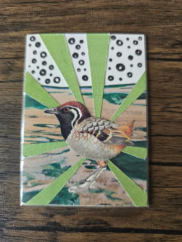Quailing around aceo art card