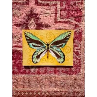 Queen Alexandra's Birdwing Butterfly aceo art card thumbnail 2