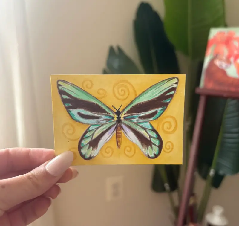 Queen Alexandra's Birdwing Butterfly aceo art card