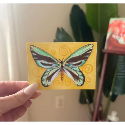 Queen Alexandra's Birdwing Butterfly aceo art card thumbnail 1