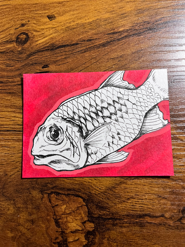 Menpachi aceo art card