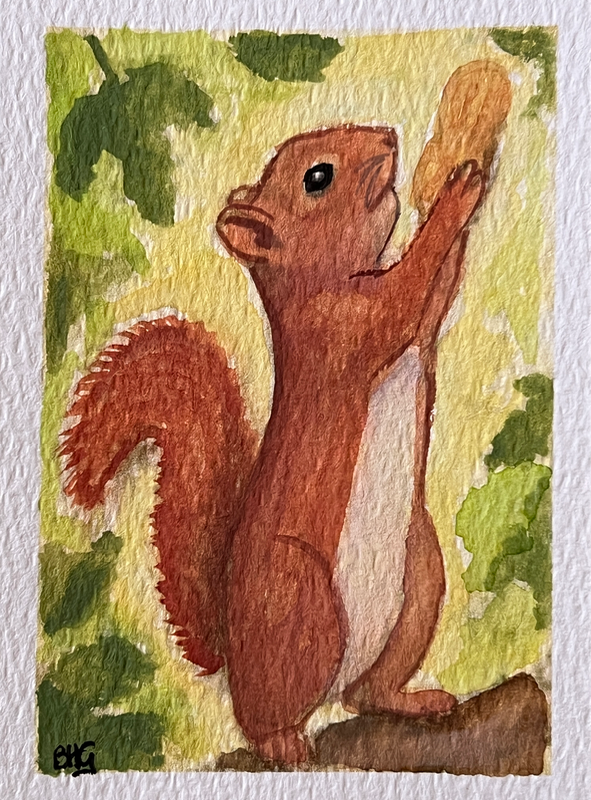 Squirrel Loves Peanut aceo art card