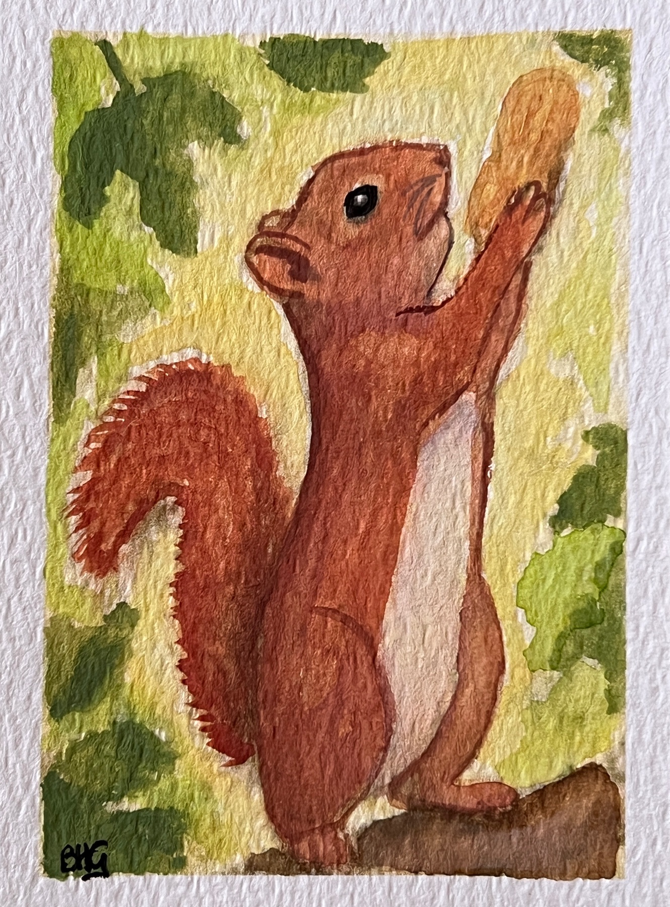 Squirrel Loves Peanut aceo art card