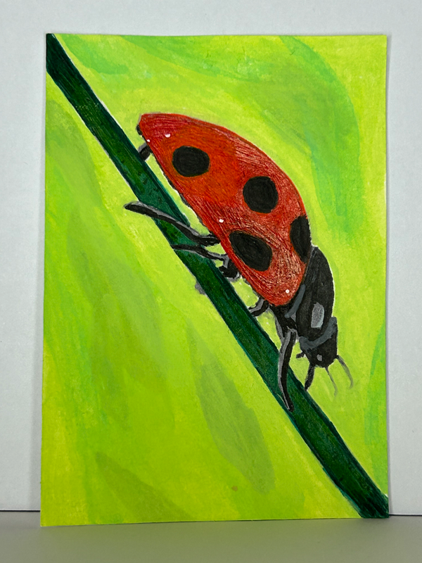 Ladybug Strolling aceo art card