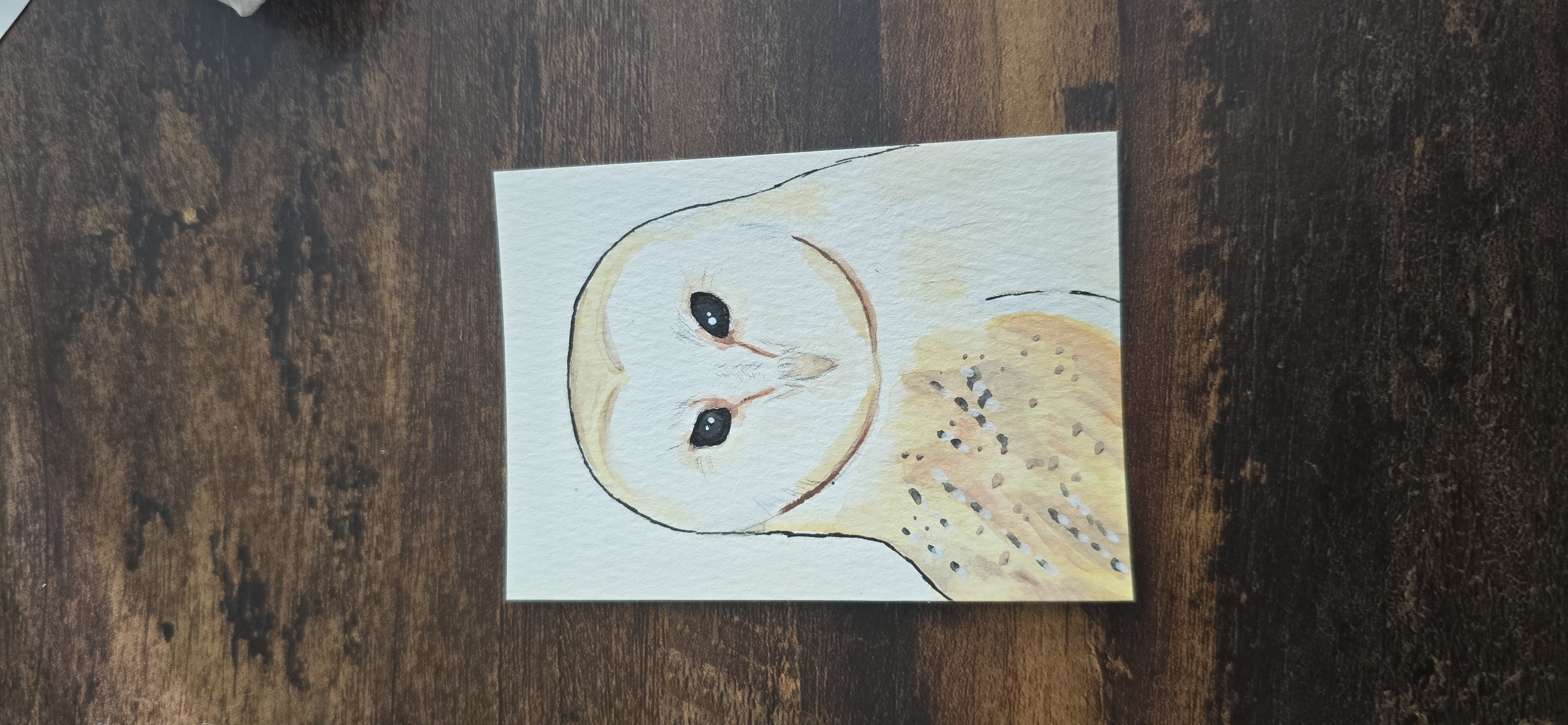Barn Owl aceo art card