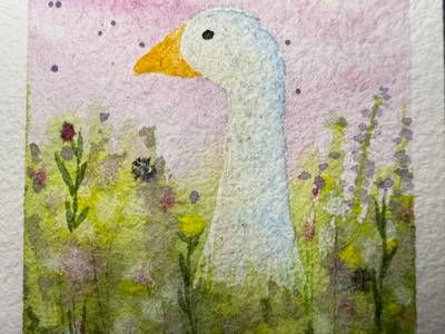 Meadow Duck aceo art card thumbnail 2