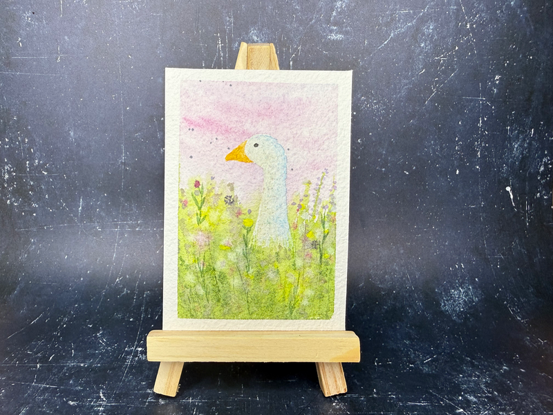 Meadow Duck aceo art card