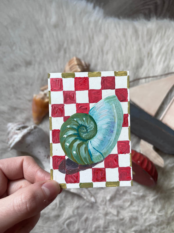 Seashells + Checkers 8 - Nautilus Shell aceo art card