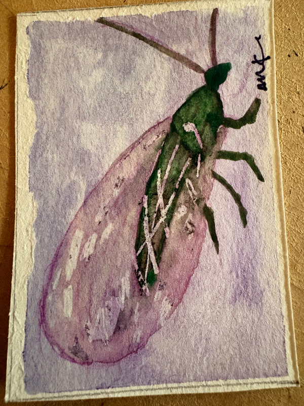 Mayfly Aceo original gauche on paper by Apryl 7/8 2.5”x3.5” aceo art card