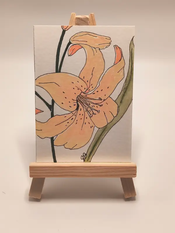 Apricot Lily aceo art card