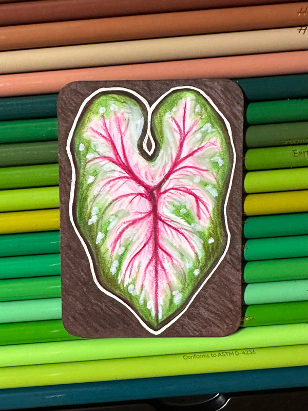 Plant Leaf aceo art card