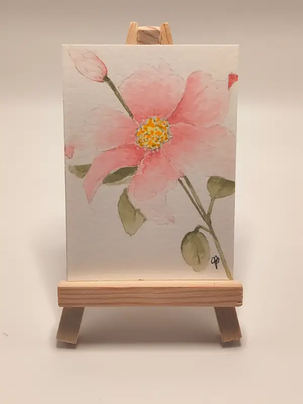 Soft Pink Blossom aceo art card