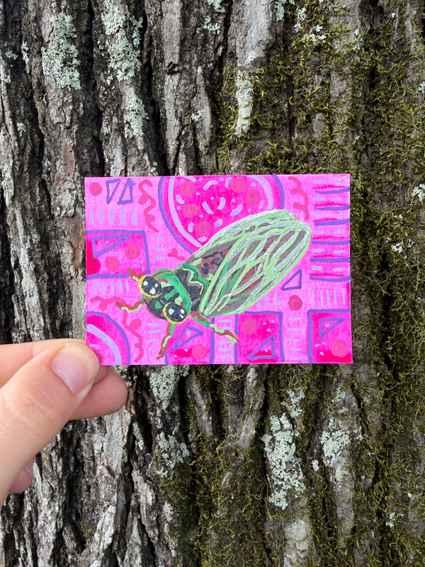 Cicada, Summer in Louisiana, New Beginnings aceo art card