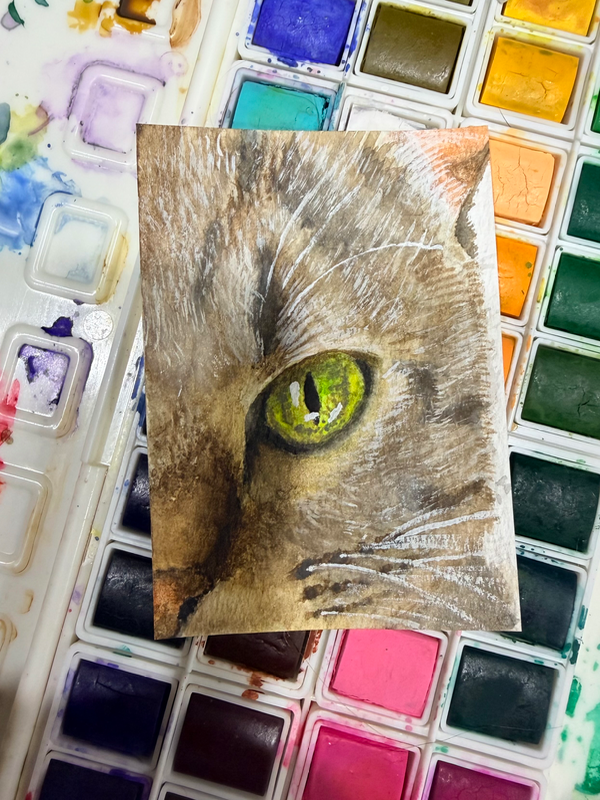 Cat Eye aceo art card