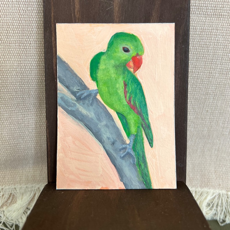 Red Winged Parrot aceo art card