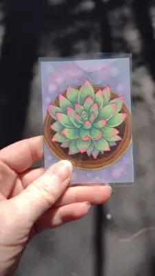 Echeveria - Original Succulent ACEO aceo art card thumbnail 3