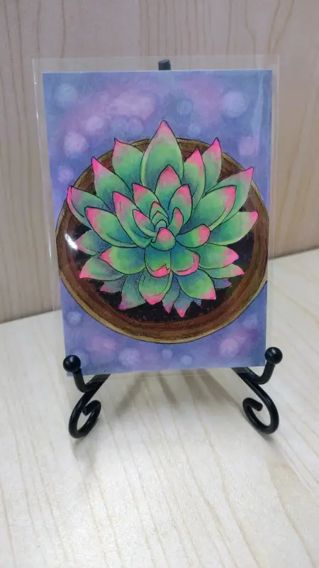 Echeveria - Original Succulent ACEO aceo art card