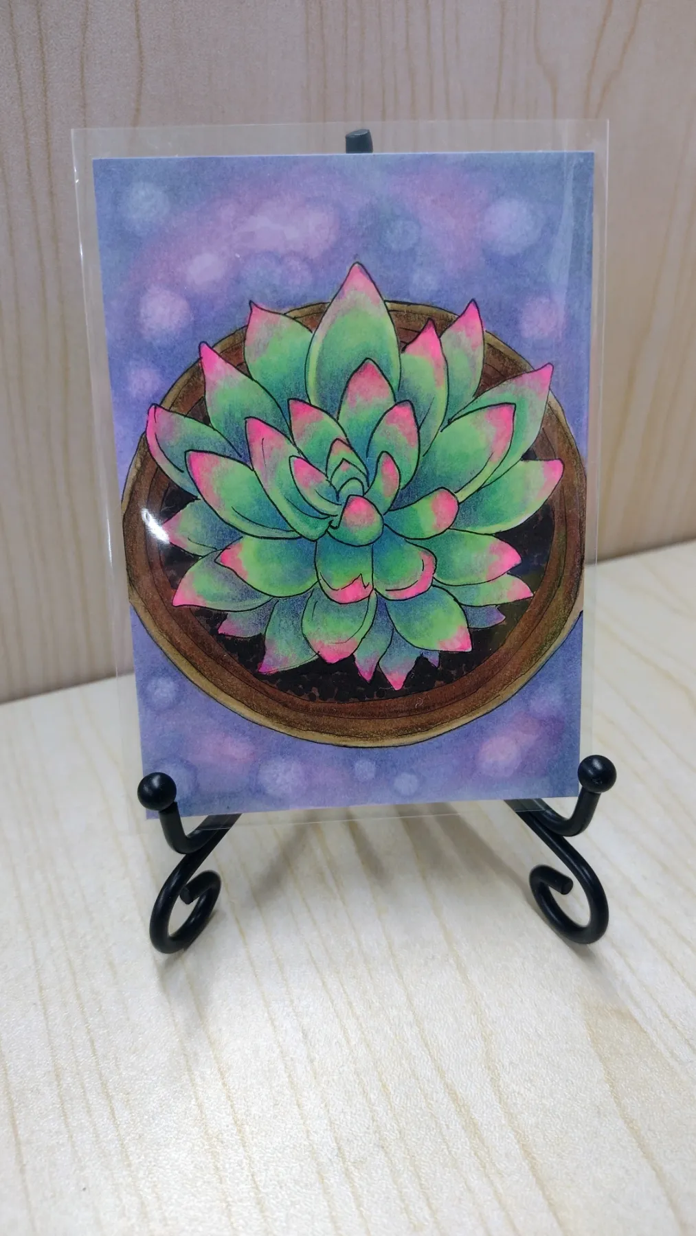 Echeveria - Original Succulent ACEO aceo art card