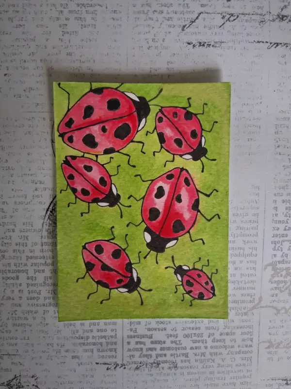 Ladybugs aceo art card