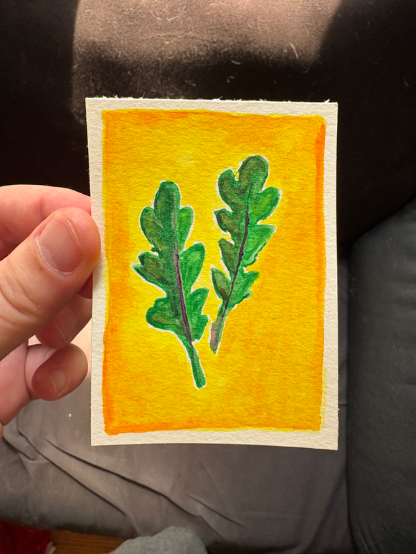 ACEO Original Watercolor Painting; Arugula; Rachelwcrafts aceo art card