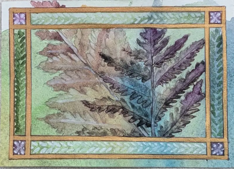 Ferns aceo art card
