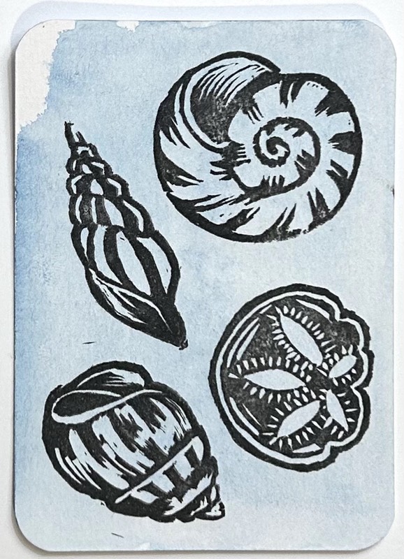 Sea Shells 1 aceo art card